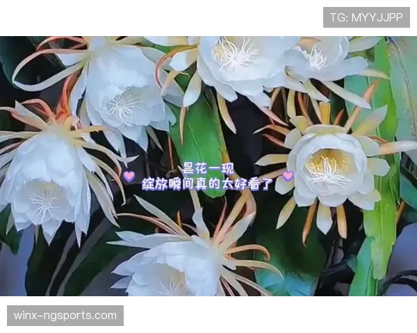 亚马尔:百年一遇的天赋还是被高估的昙花一现?